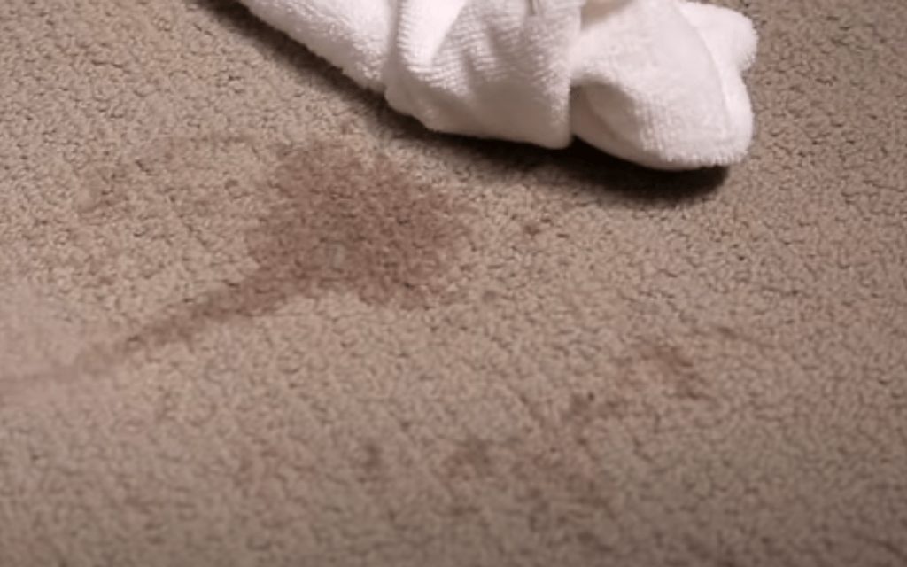 How Identifying The Stain