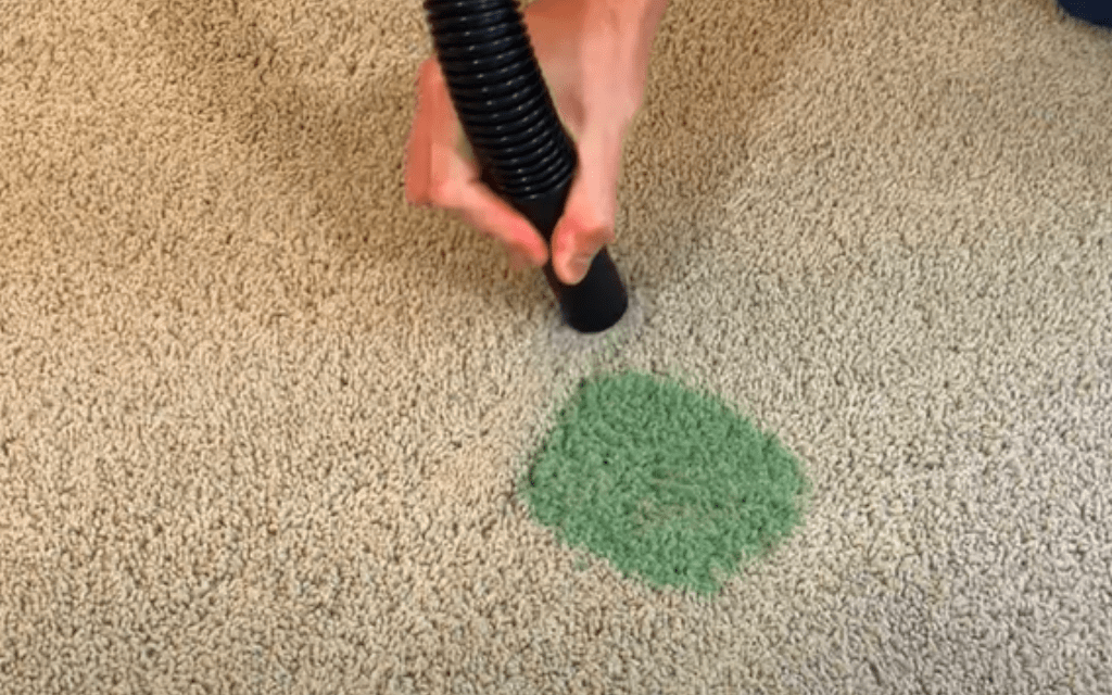 remove stain on Carpet