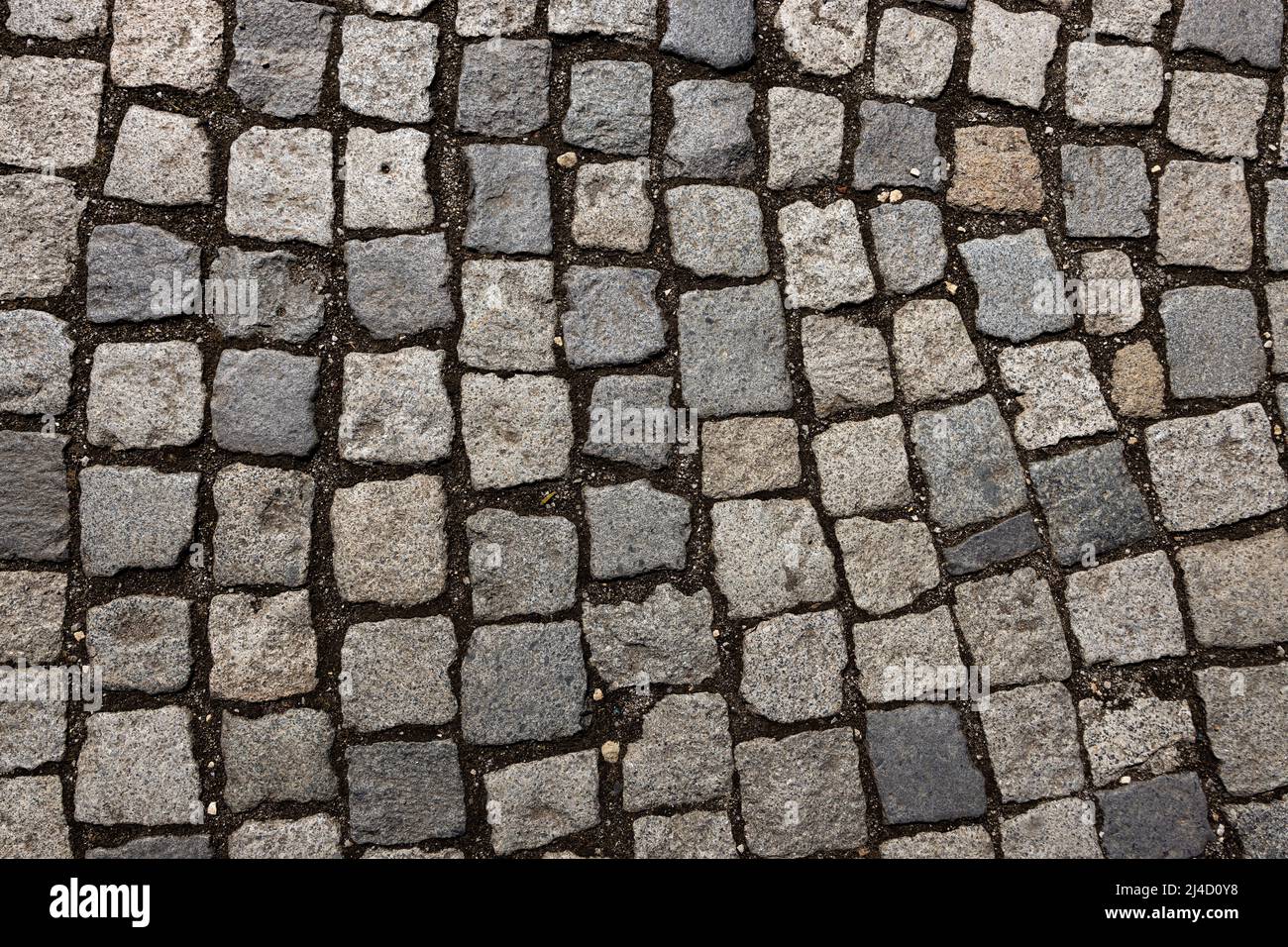 High-Quality Stone Carpet