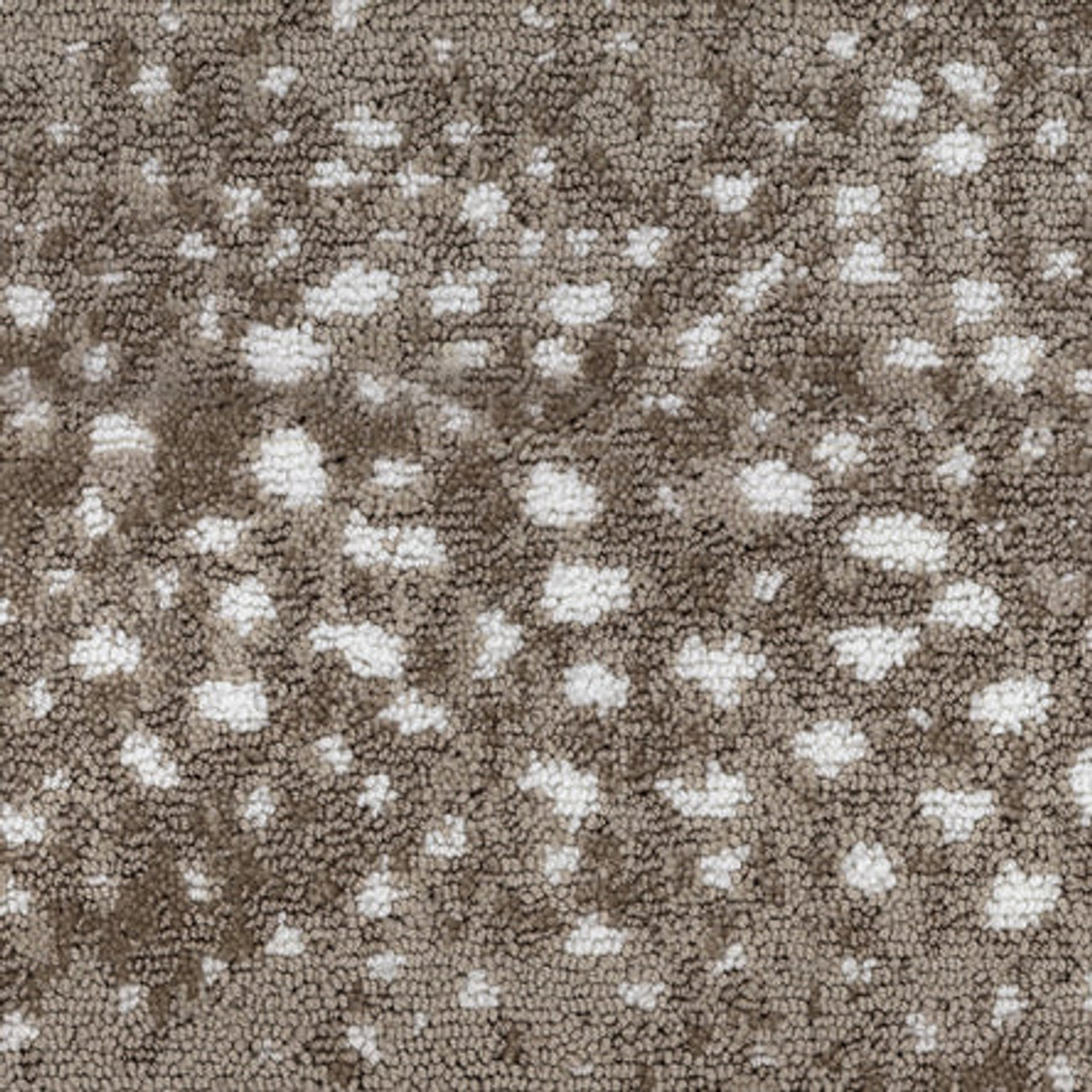 Stone Carpet Color Options